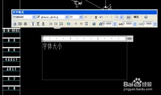 AutoCAD 2007中调整字体大小的详细操作指南
